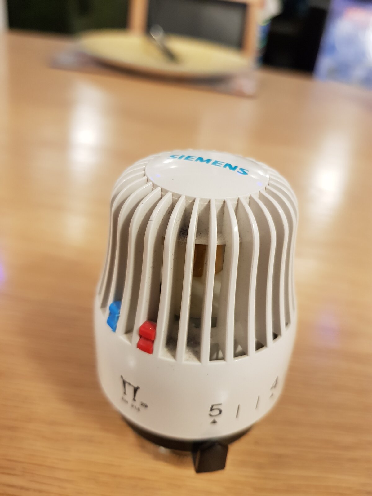 20211214_183223 - Copy.jpg