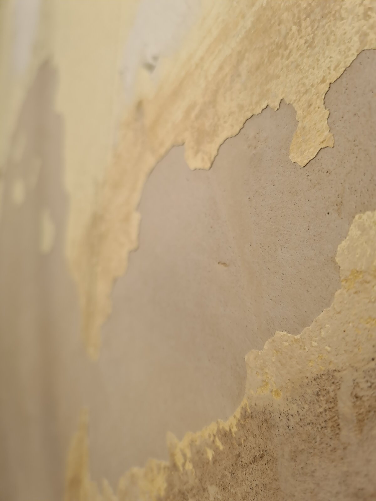 Is this distemper paint, plaster, glue or other? DIYnot Forums