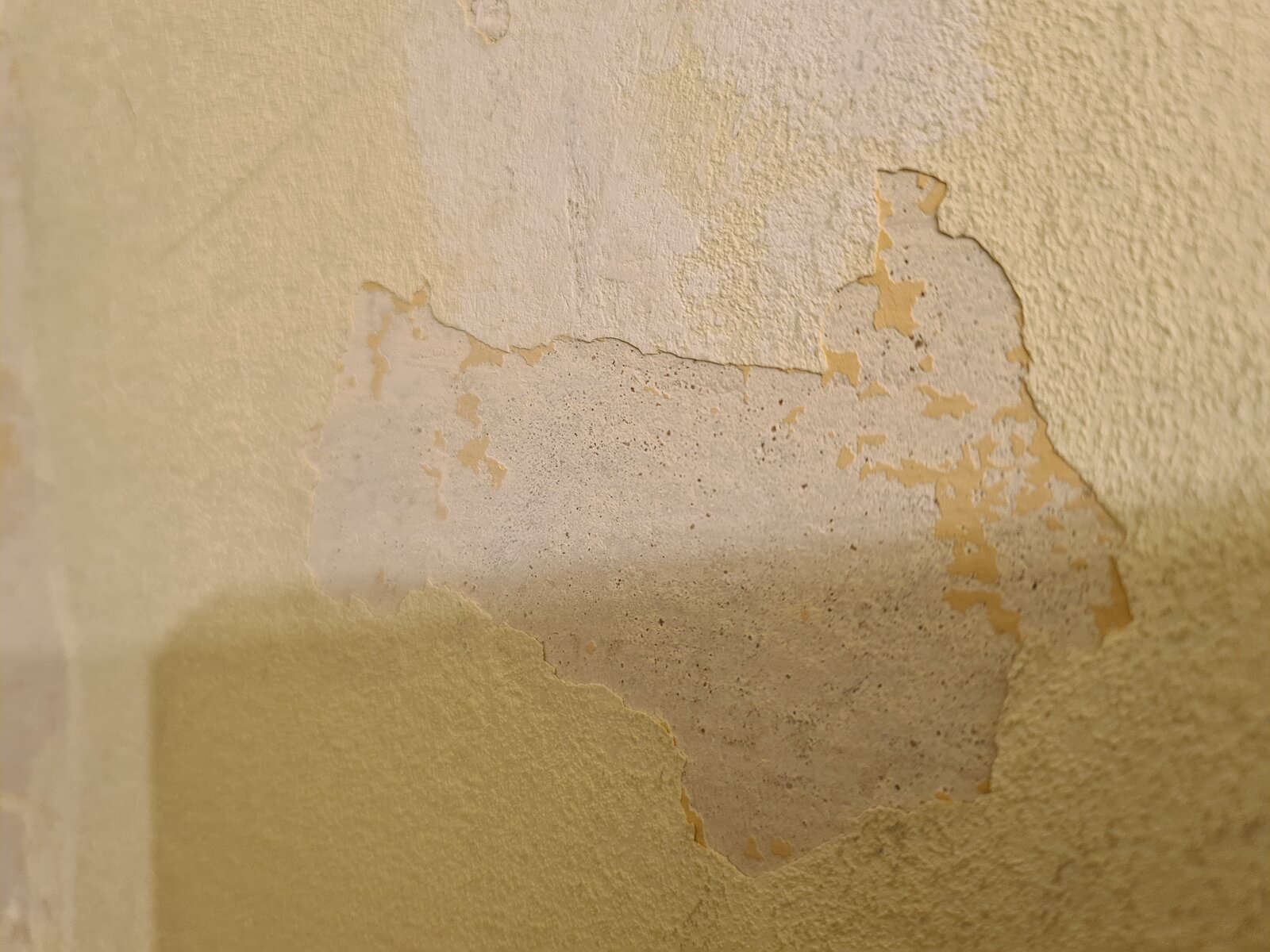 Is this distemper paint, plaster, glue or other? DIYnot Forums