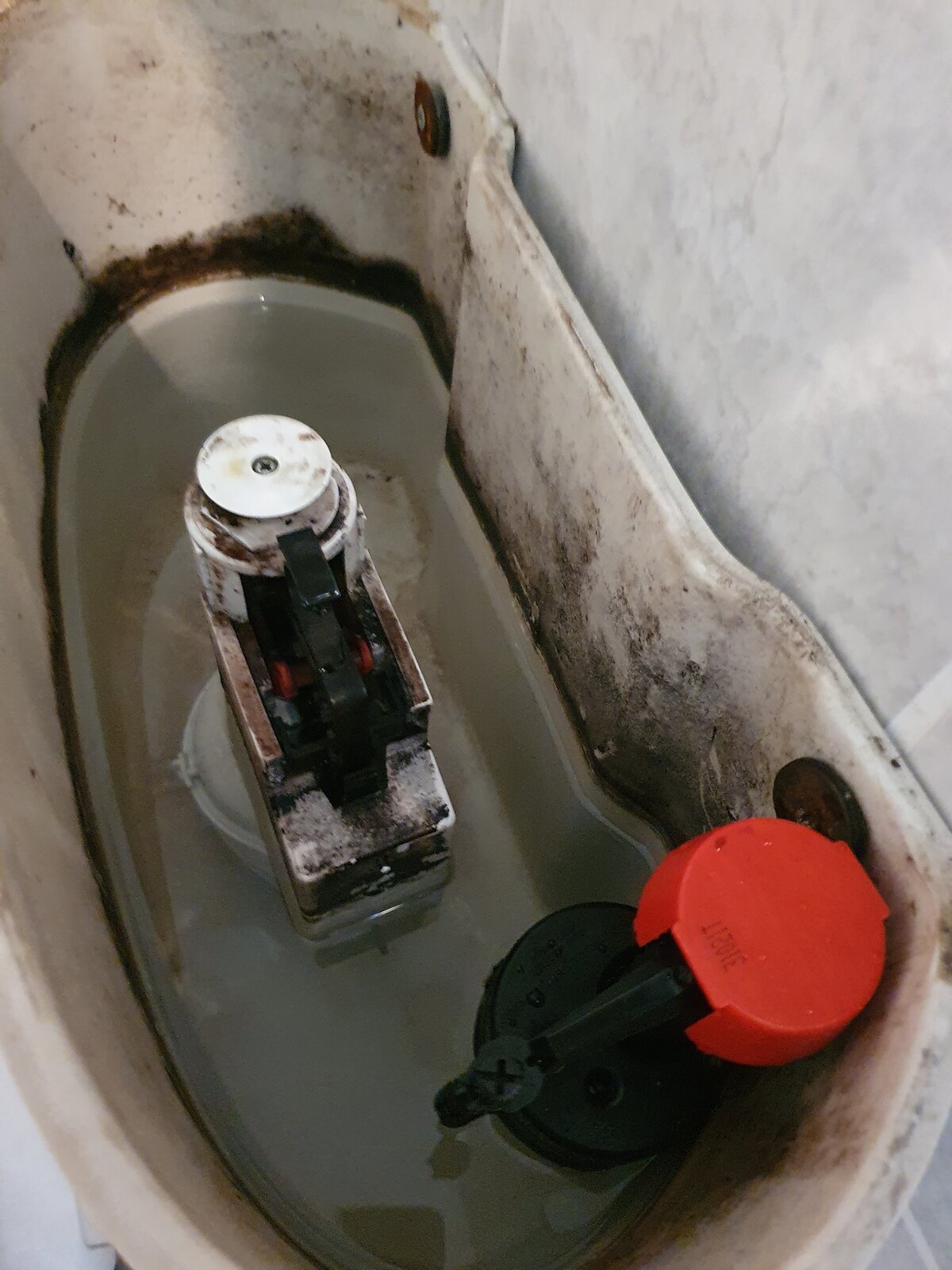 20220223_183436 (1).jpg