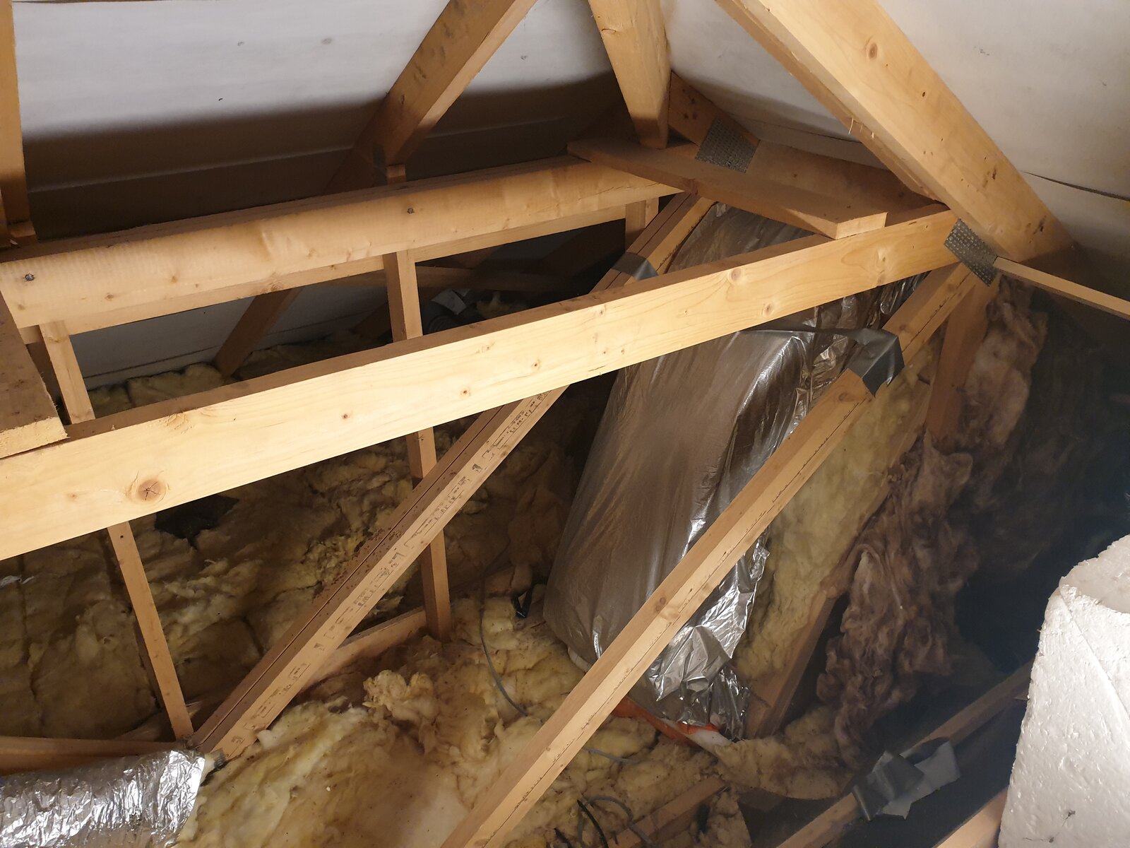 2023-01-09 16.39.12.jpg