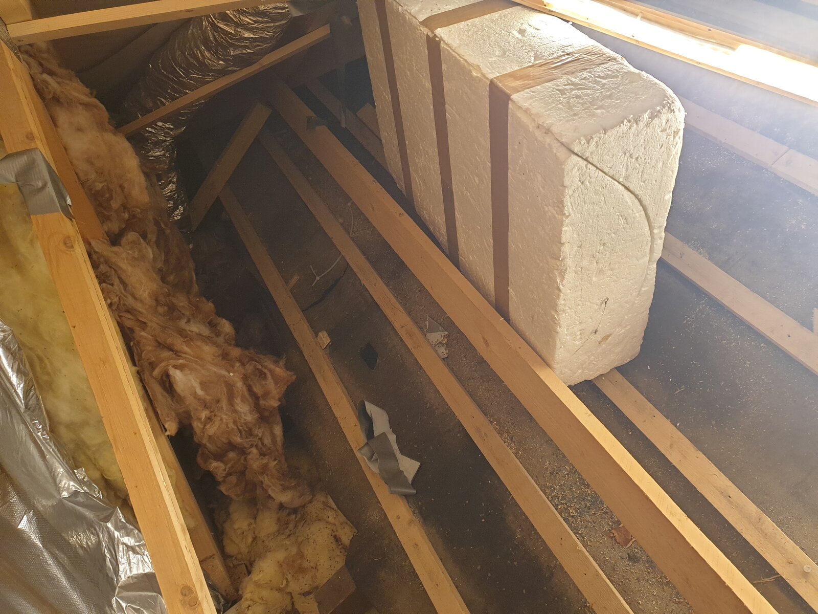 2023-01-09 16.39.27.jpg