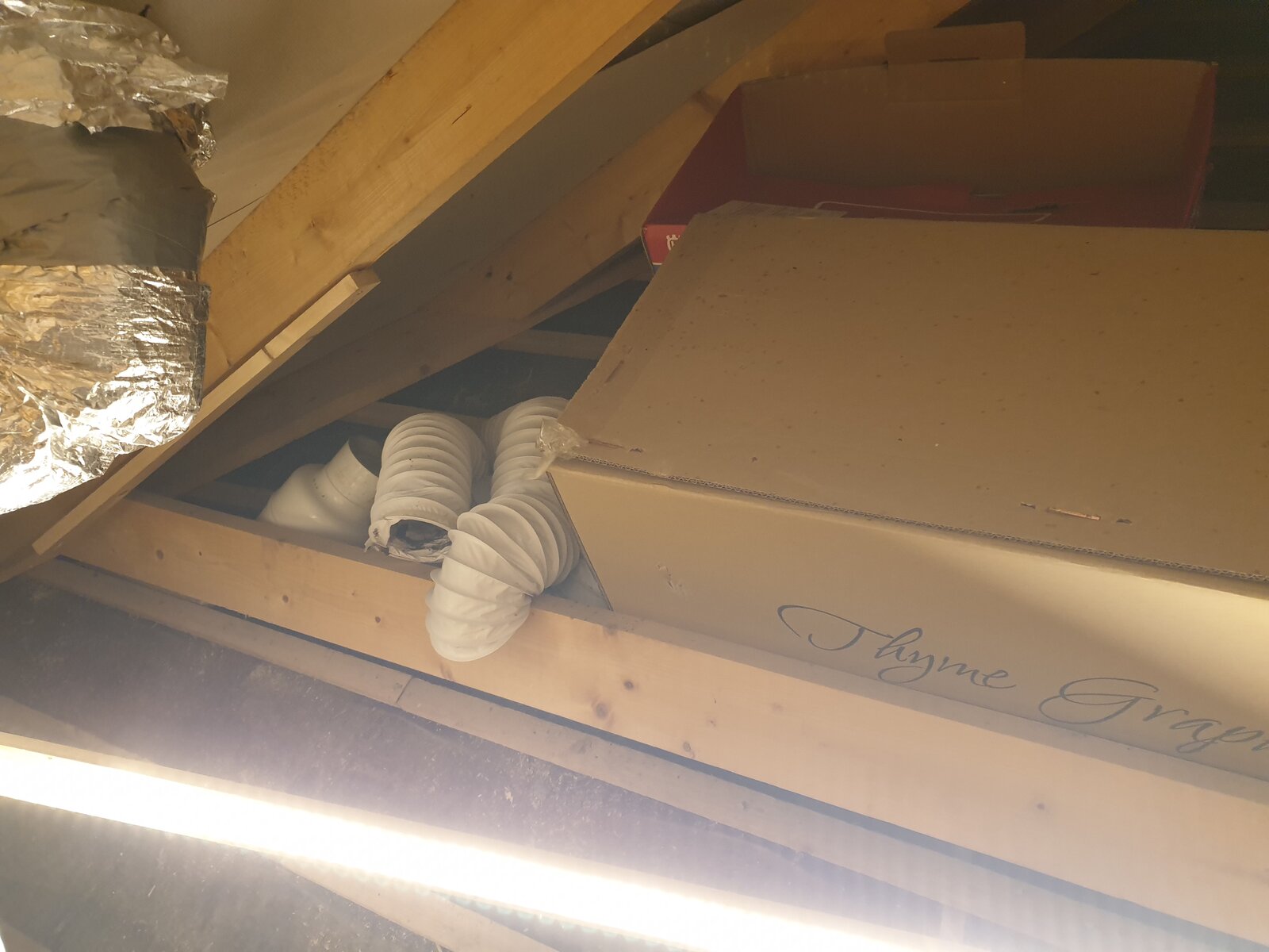 2023-01-09 16.39.39.jpg