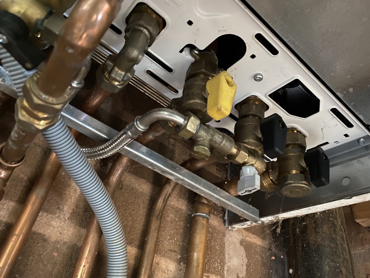 2023-04-13 12.49.20 Large.jpeg