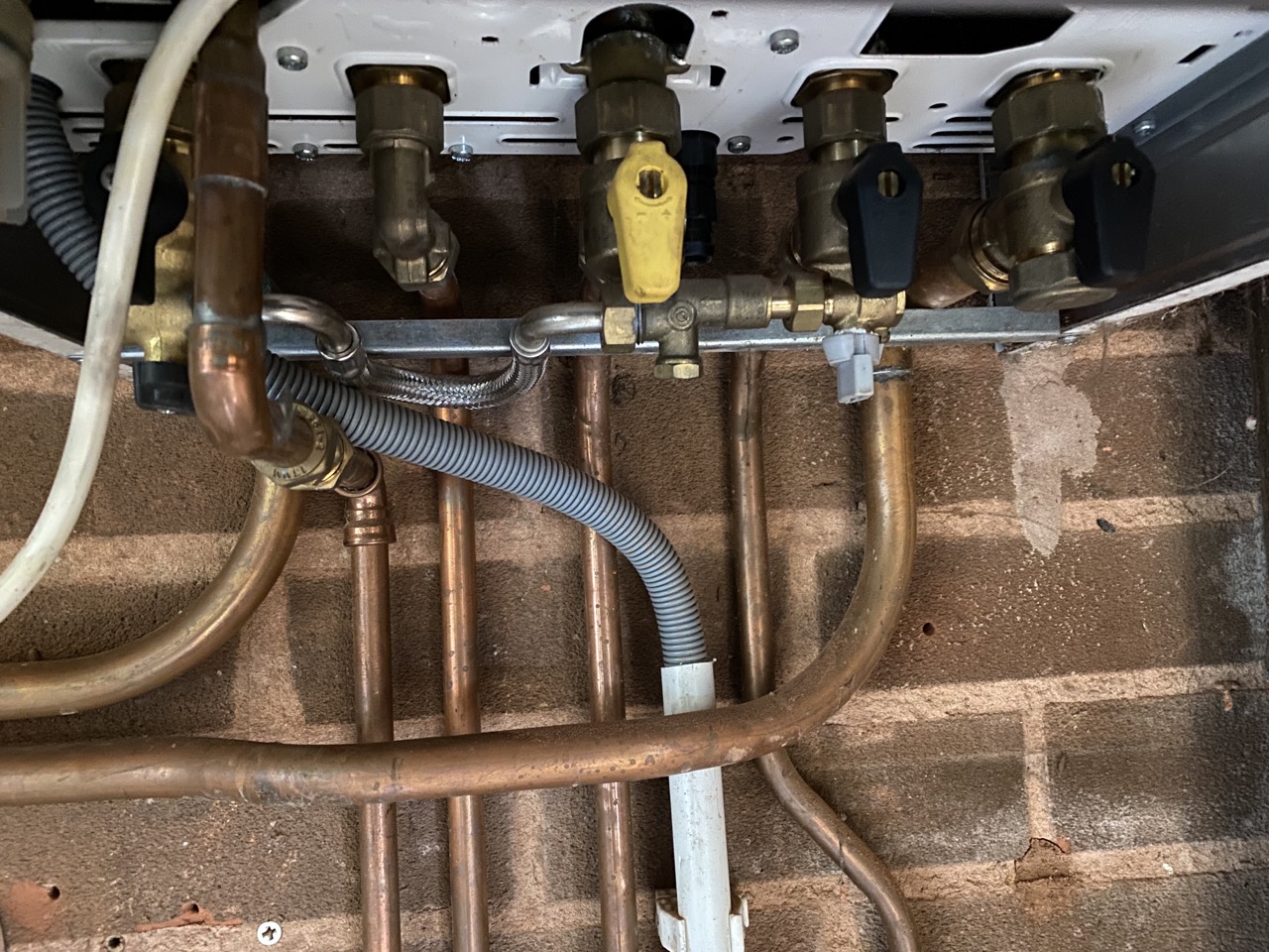 2023-04-13 12.49.46 Large.jpeg