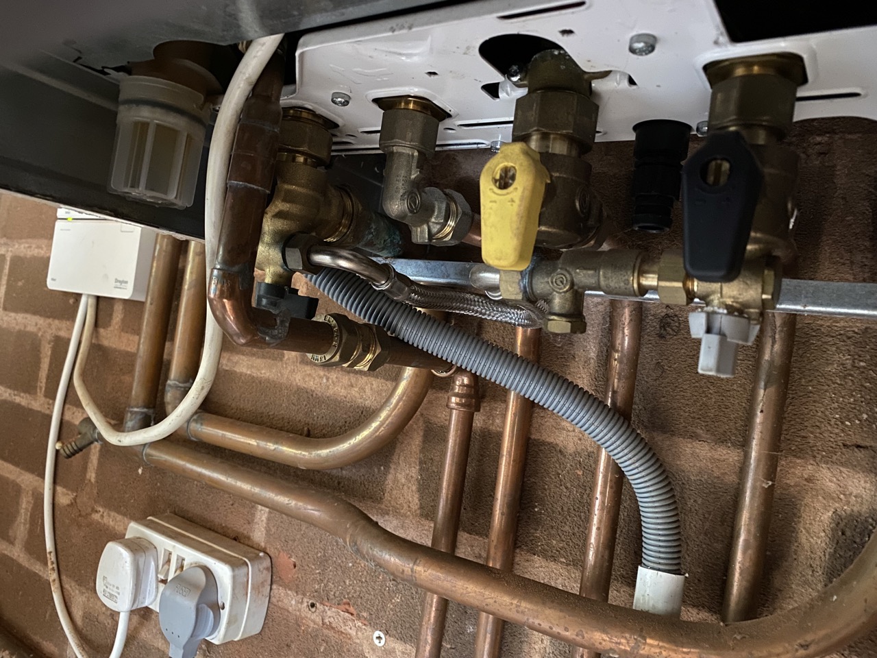 2023-04-13 12.50.33 Large.jpeg