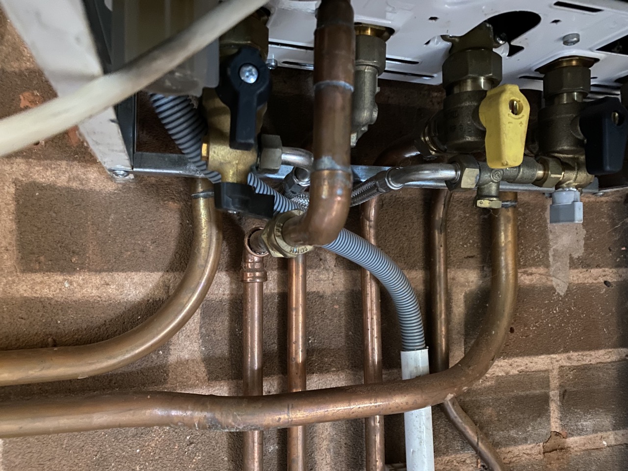 2023-04-13 12.51.35 Large.jpeg