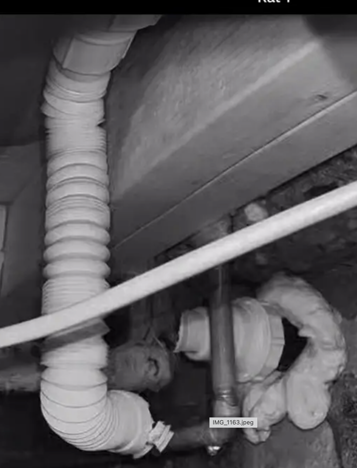 2023-10-02 at 16.10.09 CleanShot@2x.png