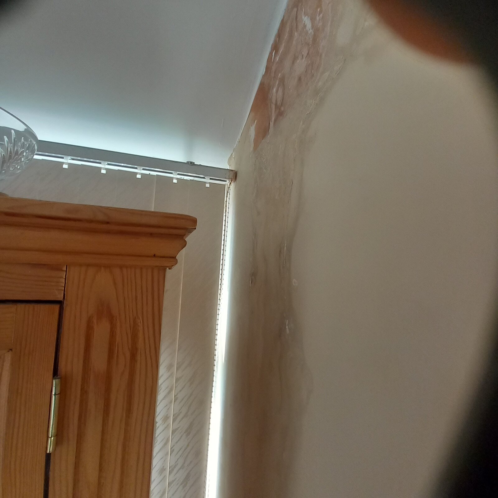 Cladding a wall to cover damp area DIYnot Forums