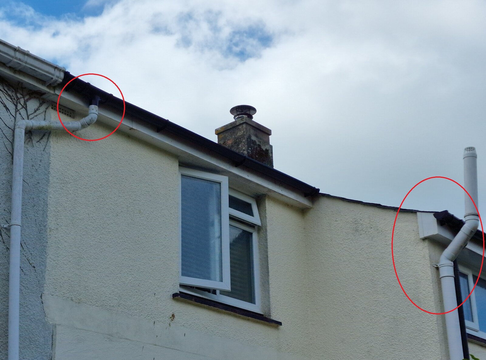 20230611_154517_resized - Copy.jpg