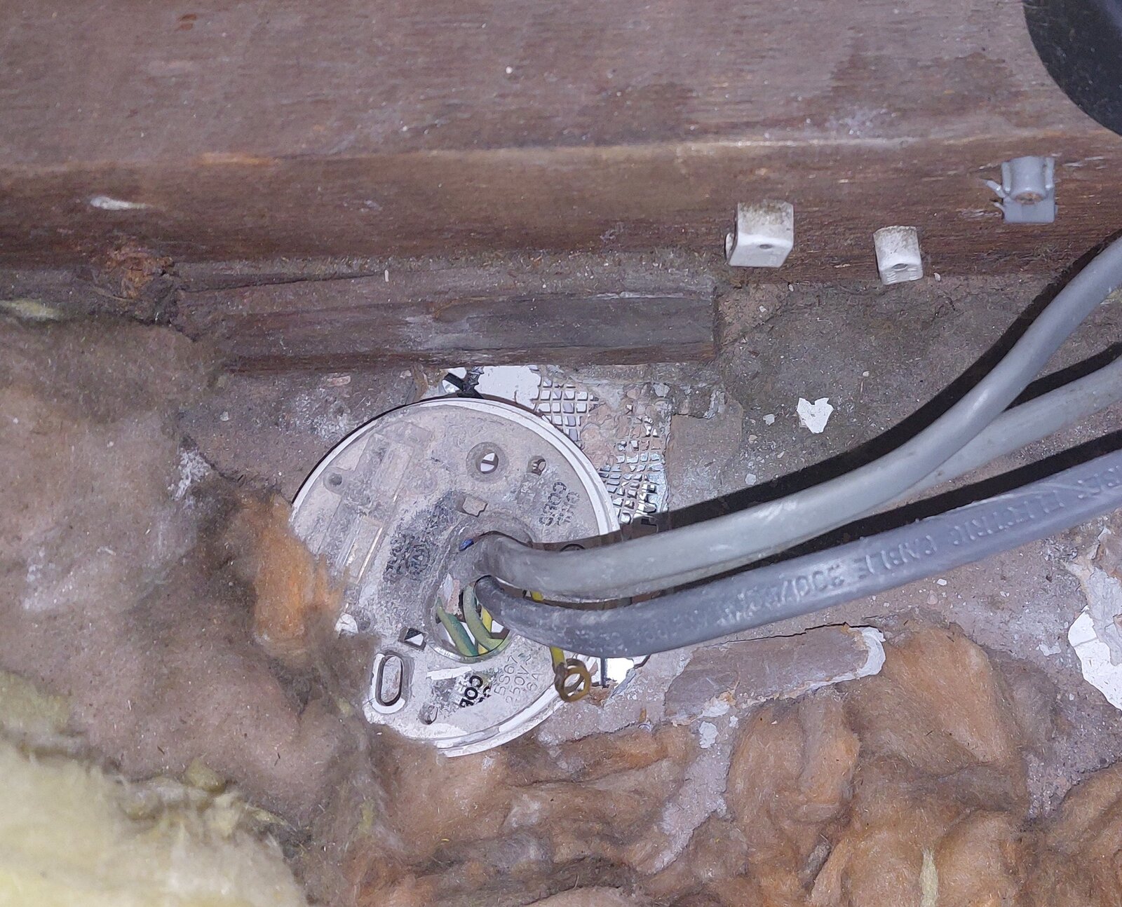 Ceiling Rose Junction Box Wiring Shelly Lighting