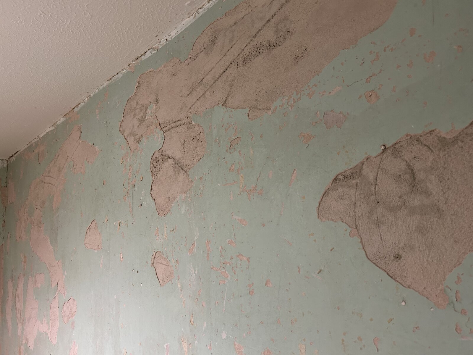 2025-02-27 21.17.15.jpg