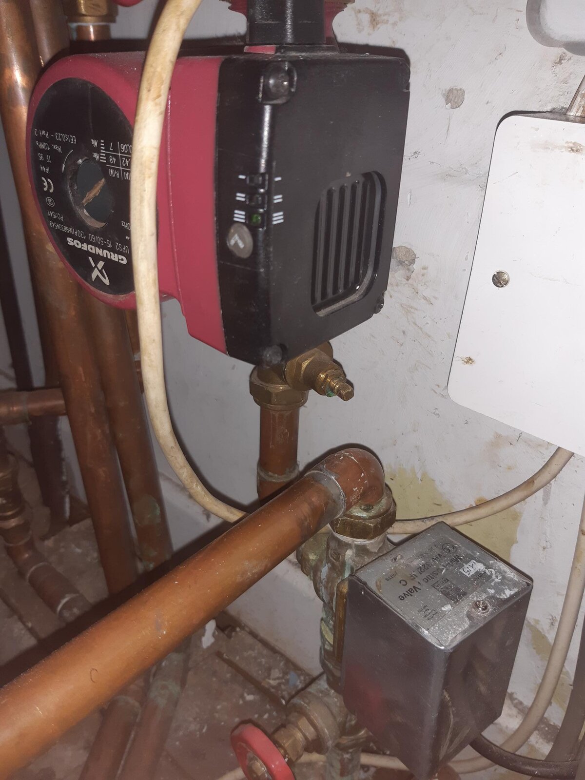 20250126_183022 (1).jpg