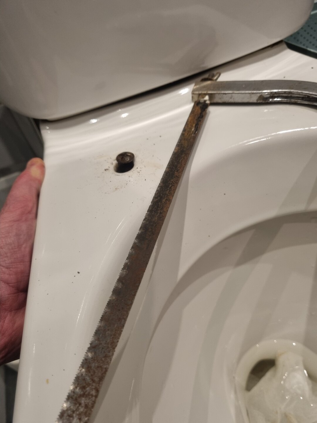 20250201_195753 (Copy).jpg