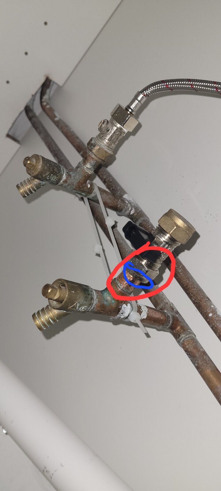 20250325_203822 (1).jpg