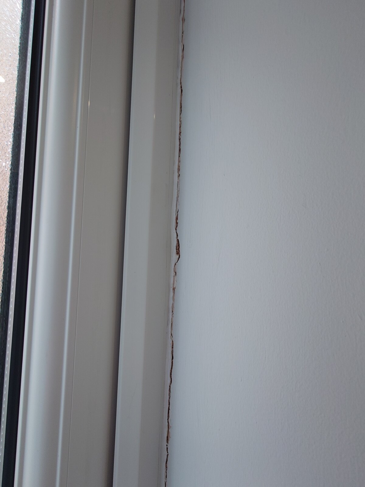 20251104_124814 (1).JPG