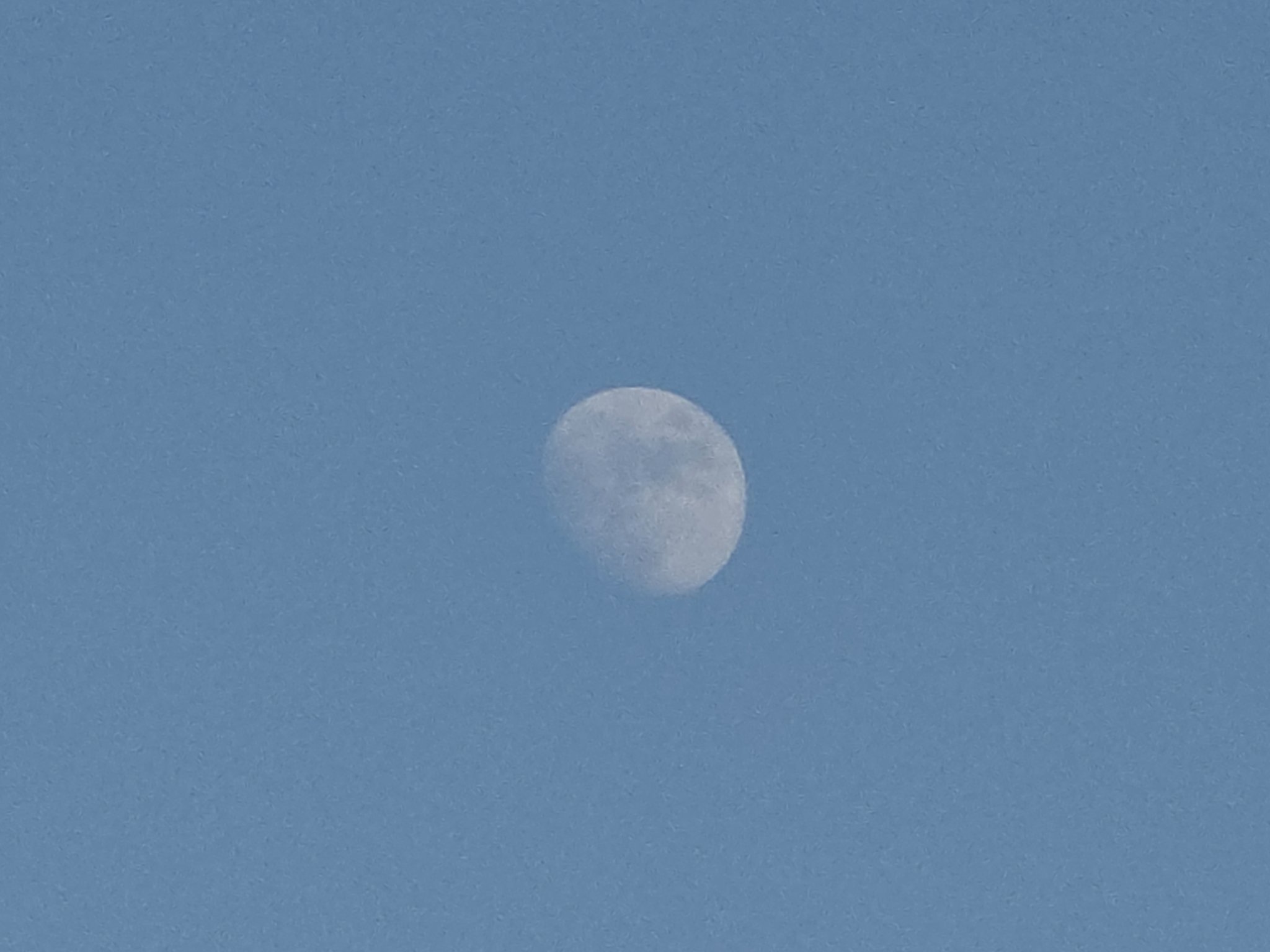 20260527_193856.jpg