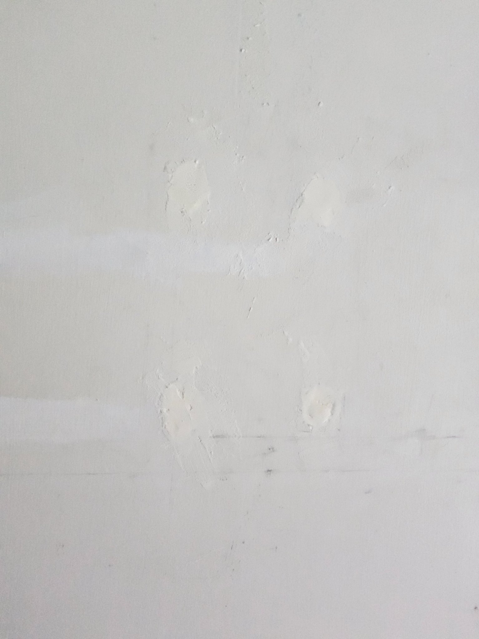 20260531_123936.jpg
