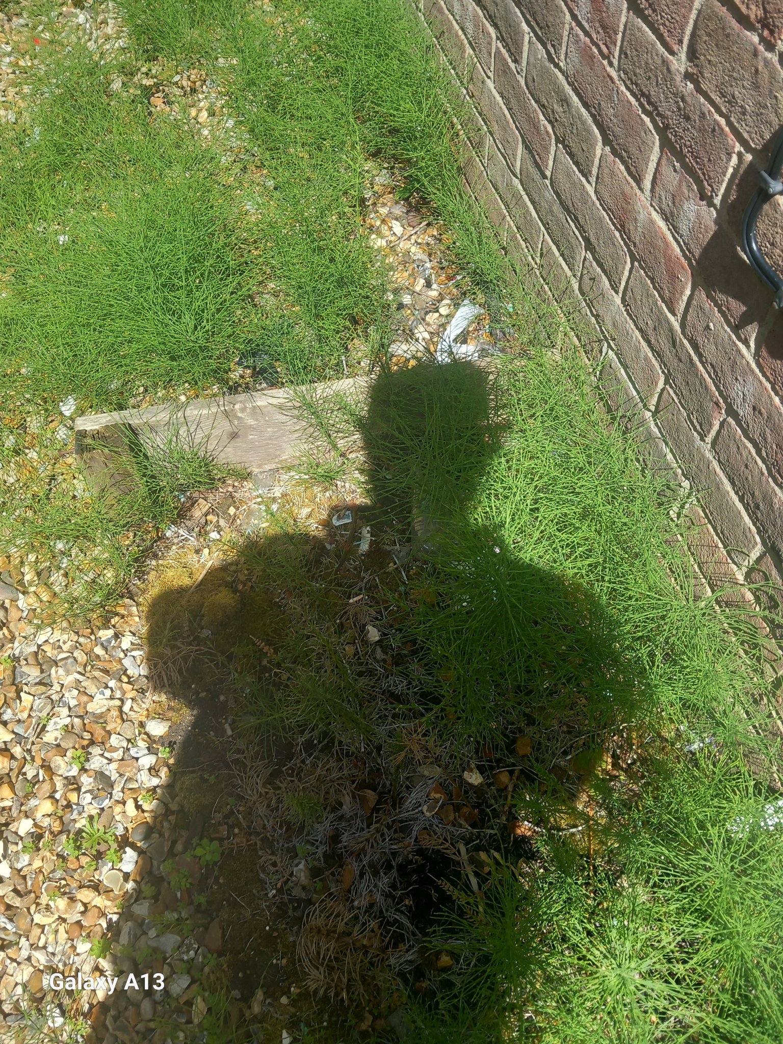 20260602_123304.jpg