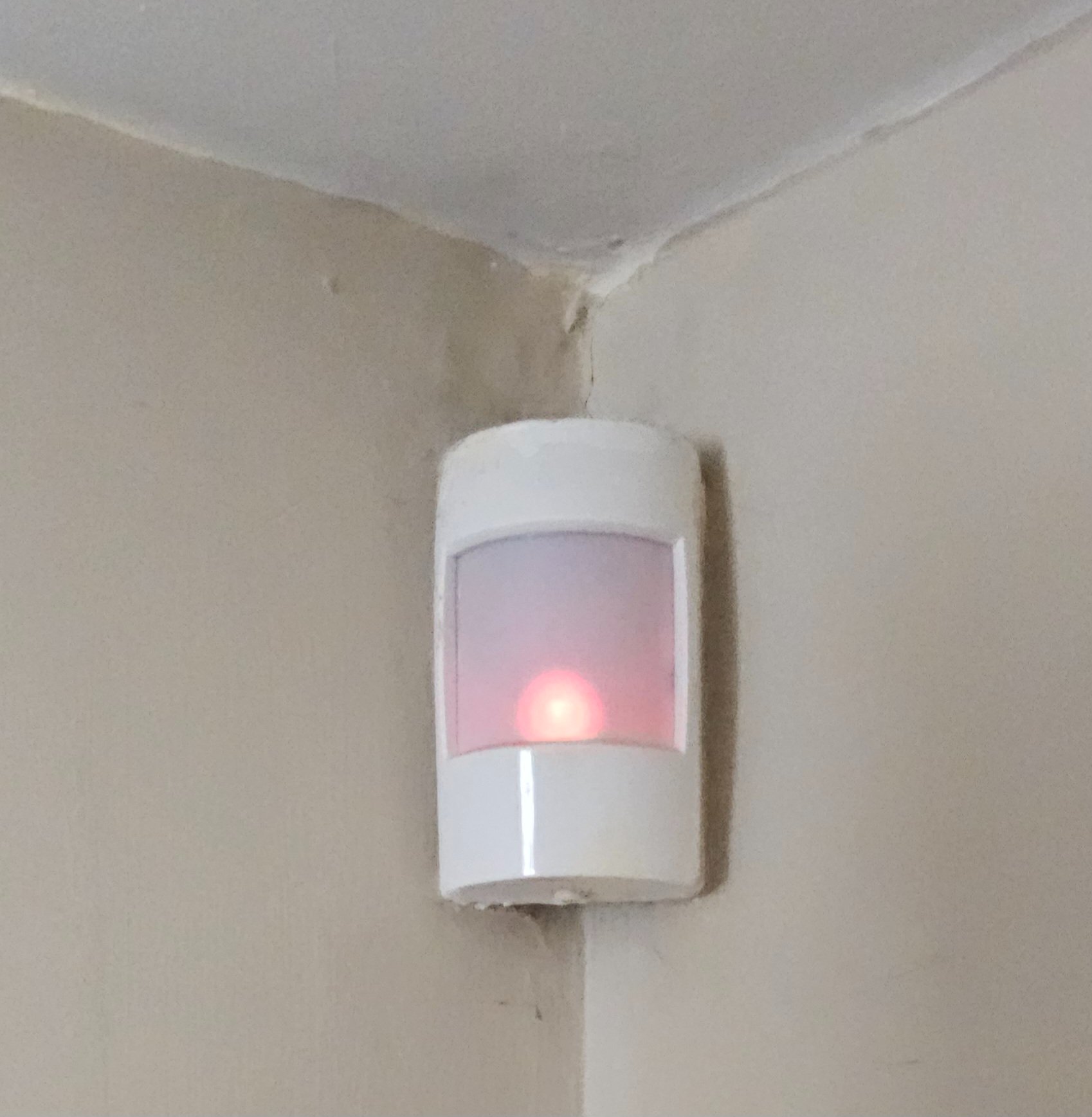 20260709_095456.jpg