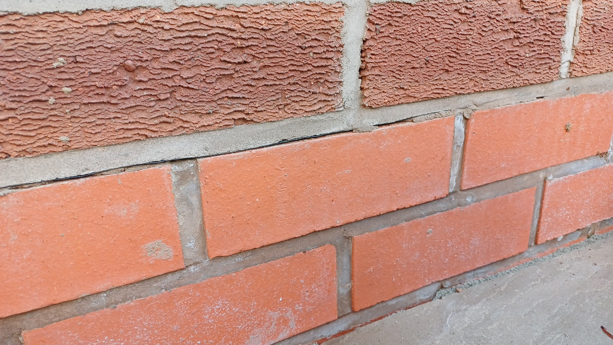 20260719_171315.jpg