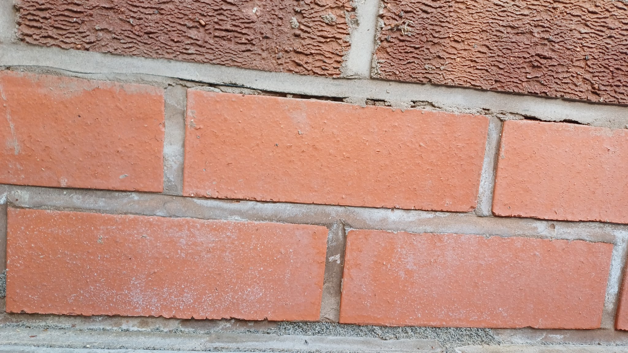 20260719_171824.jpg