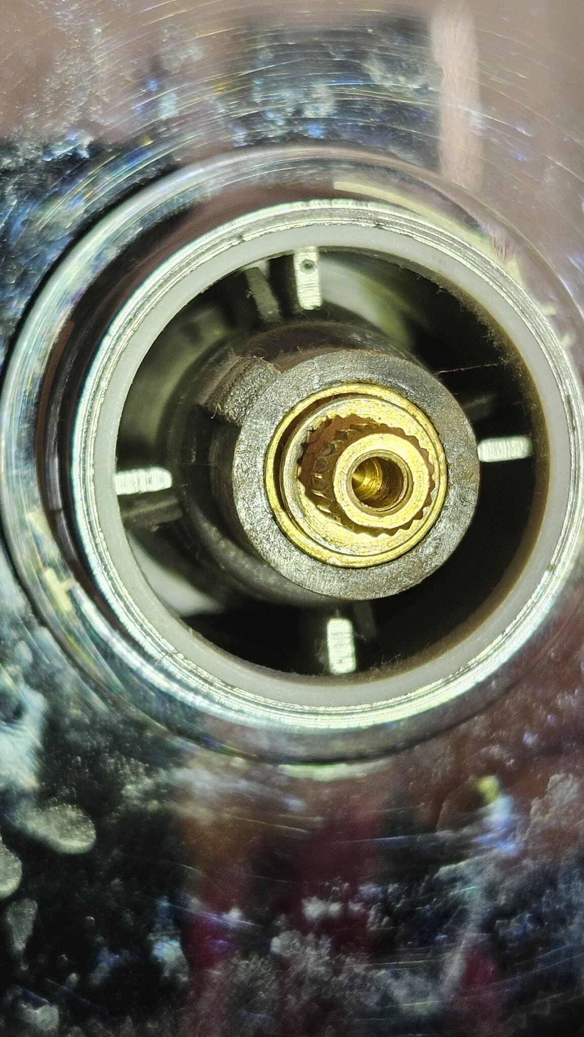 20260822_134630.jpg