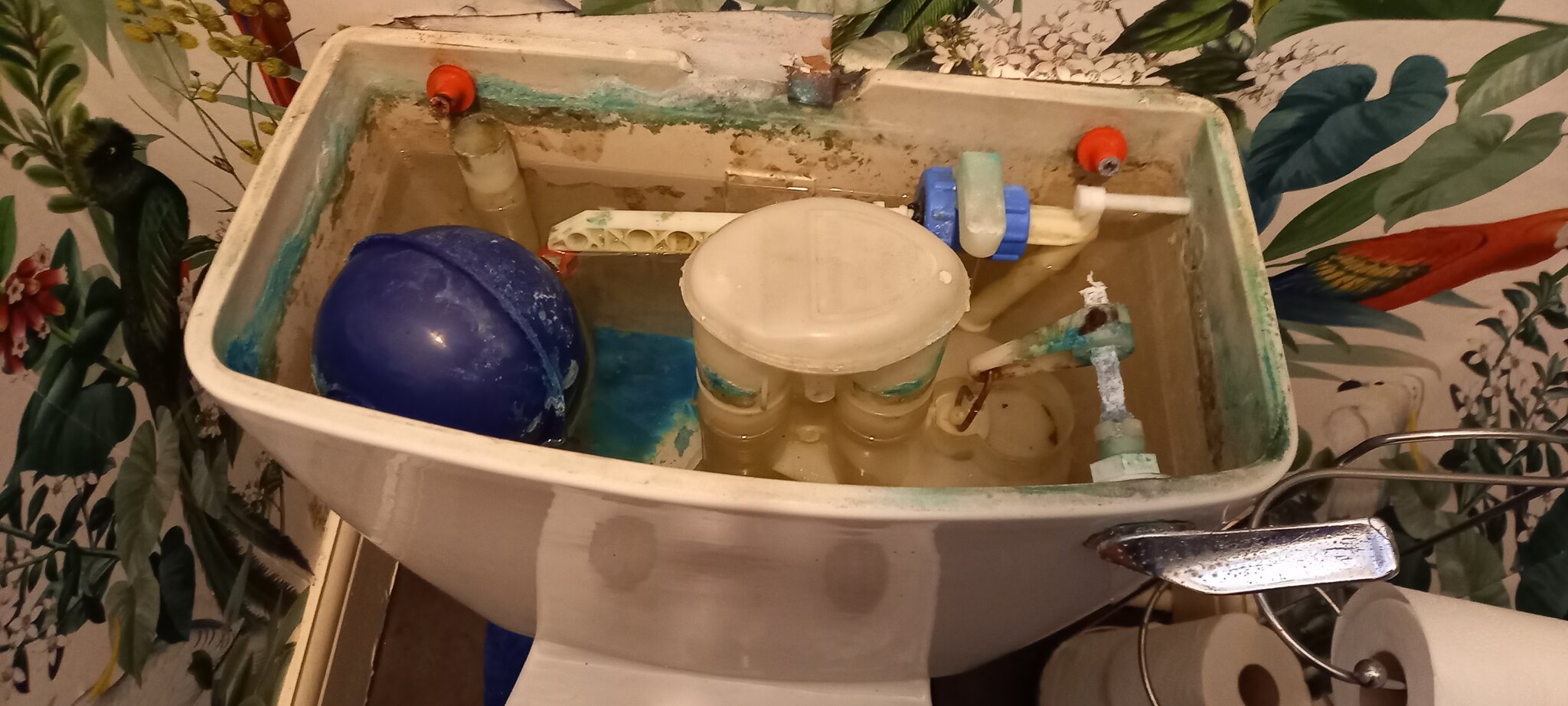 20260911_143850.jpg