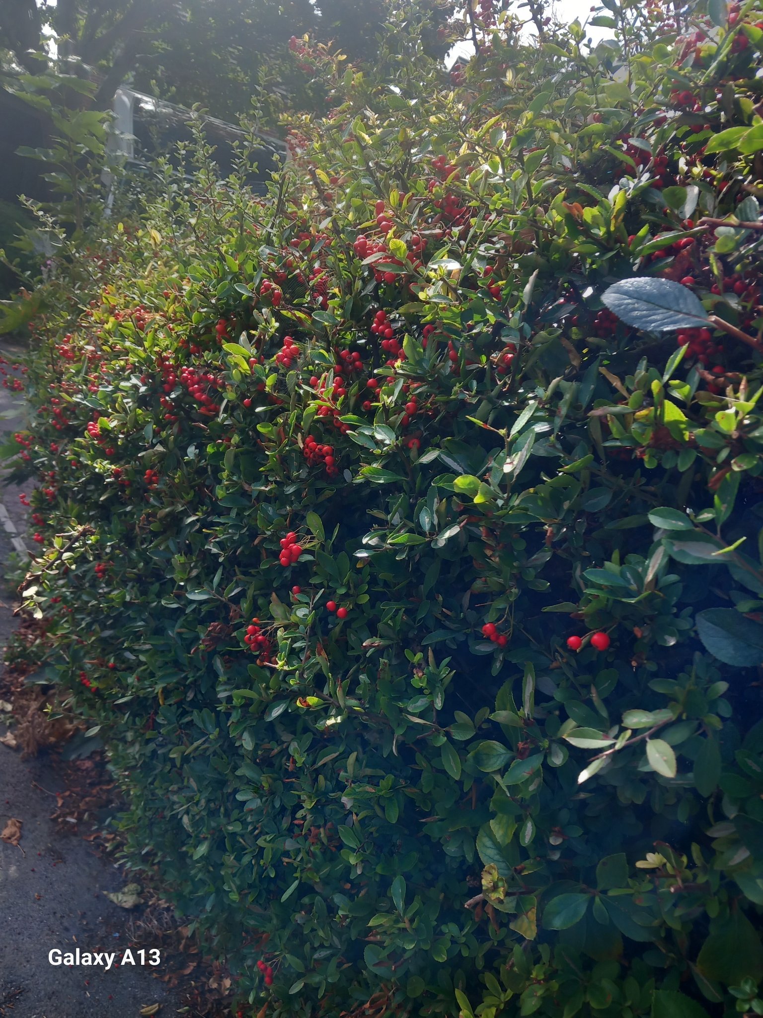20260918_124343.jpg