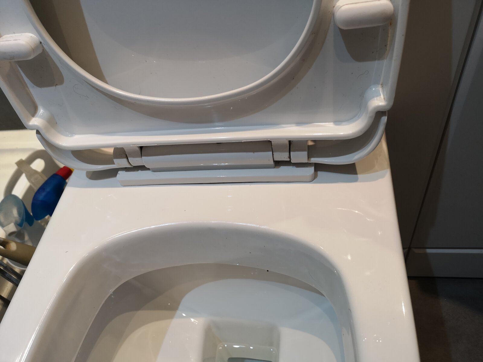 Toilet seat hidden fixings  DIYnot Forums