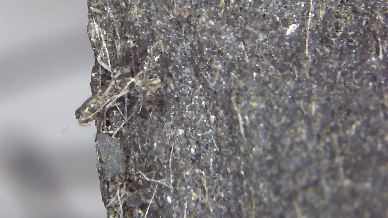 220613 2ph asbestos or fibre cement tile 2.jpg