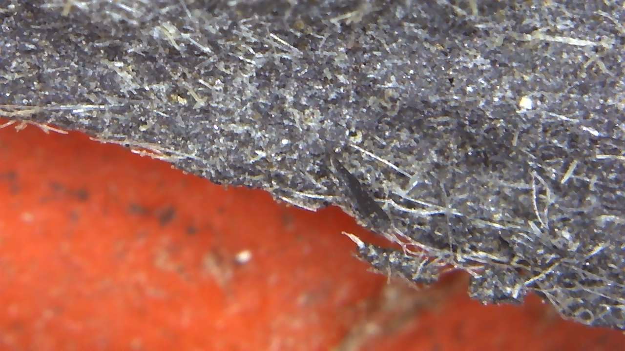 220613 2ph asbestos or fibre cement tile.jpg