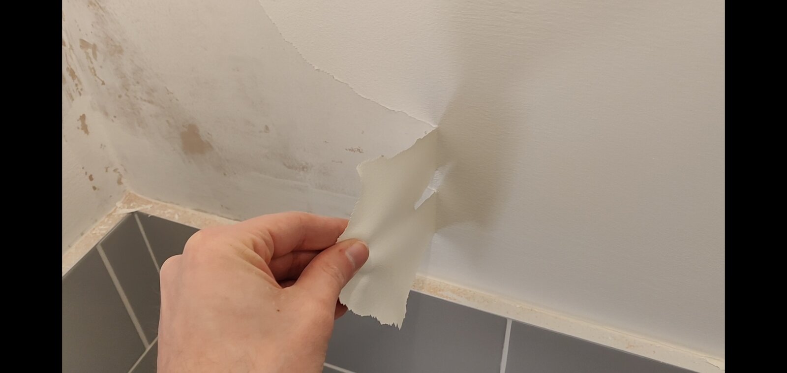 Paint Peeling From Fresh Plaster Diynot Forums