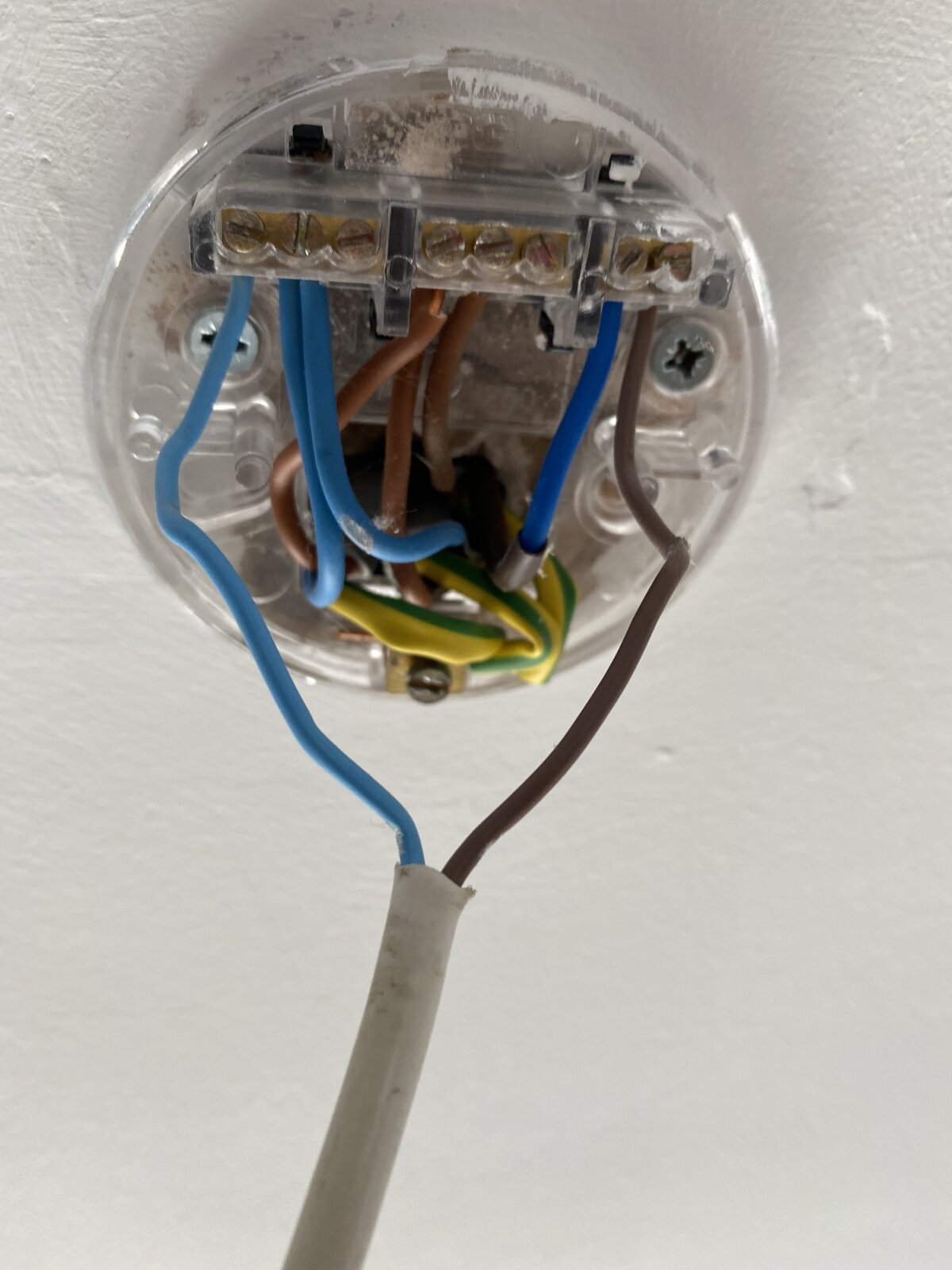 Ceiling rose wiring | DIYnot Forums