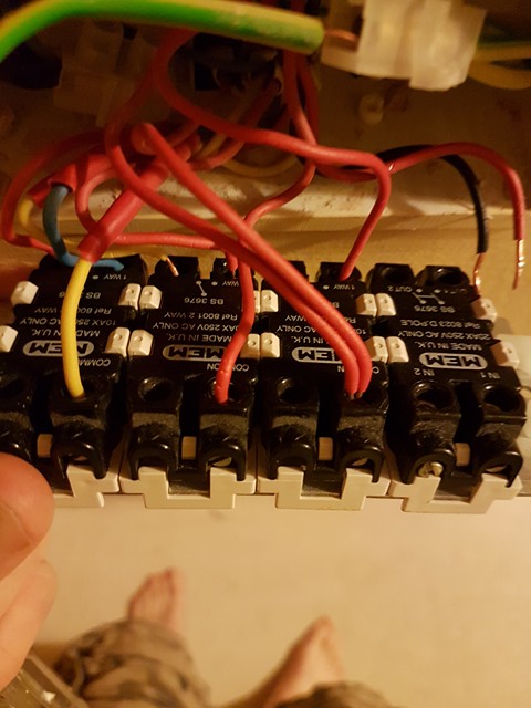 23163863_10159671147450691_362694296_n 2.jpg