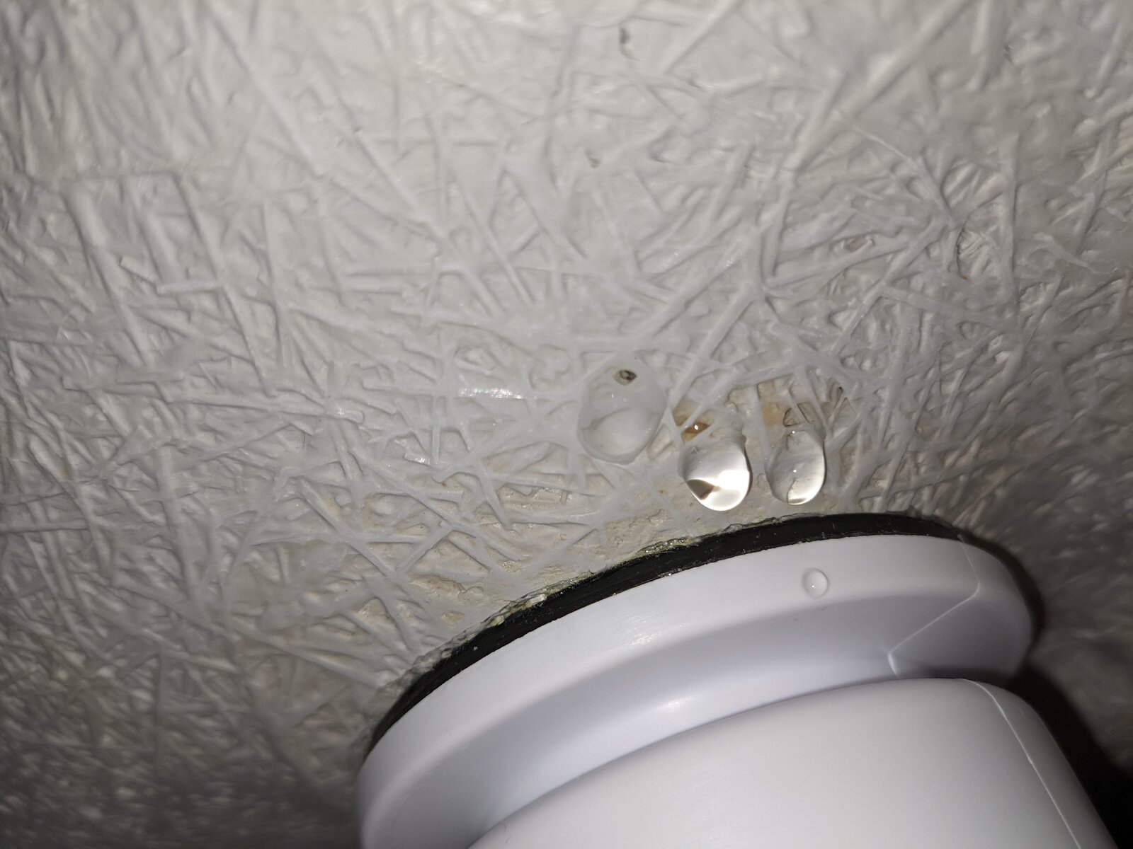 New bath trap leaking DIYnot Forums