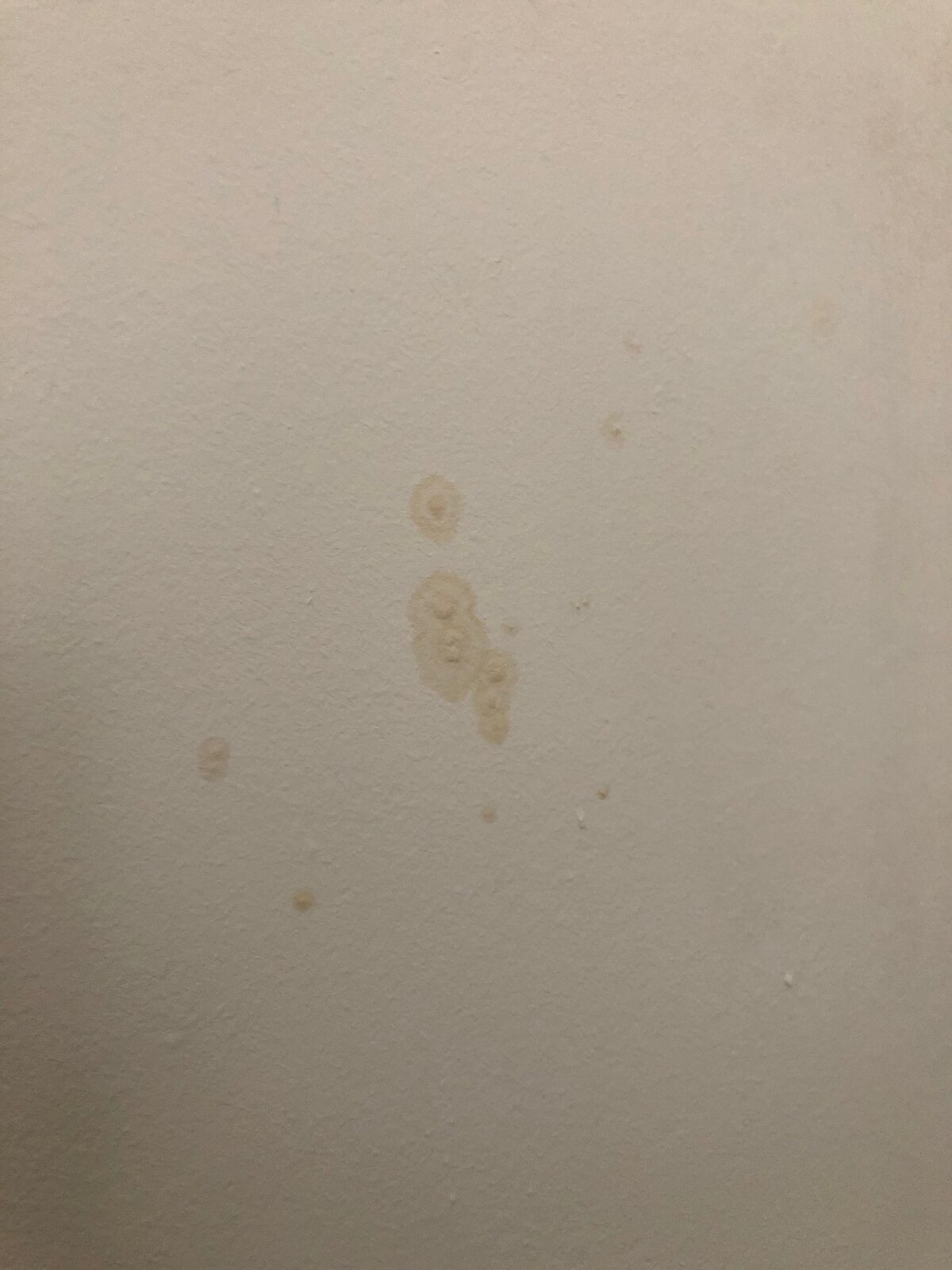 Round Spots On Wall DIYnot Forums