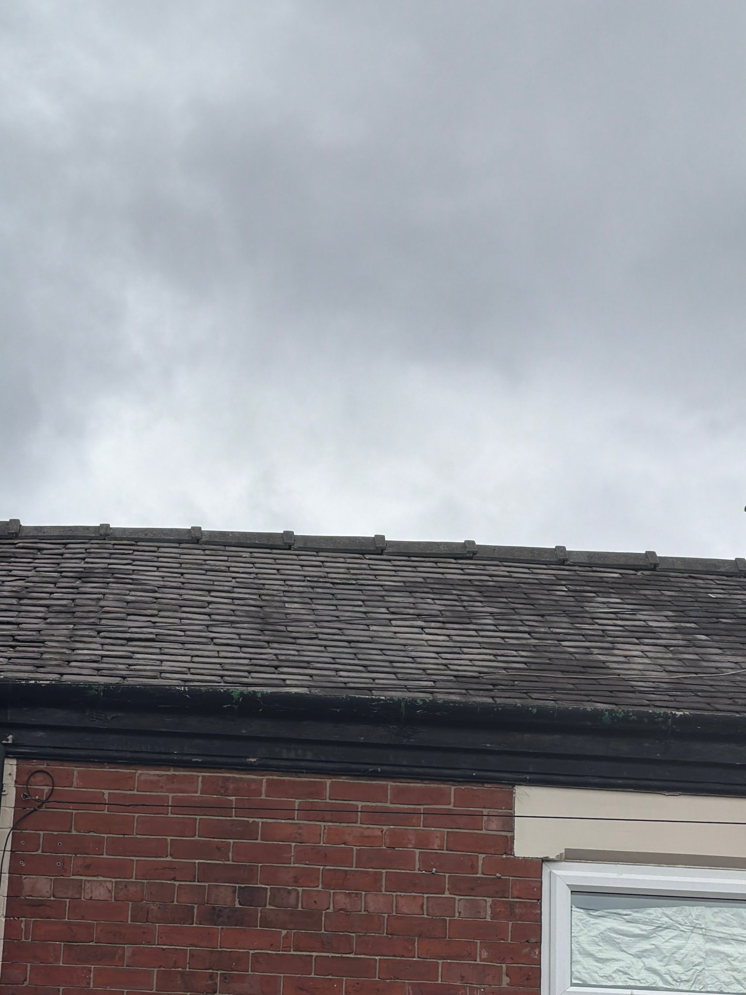 26794-Roofs-2.jpg
