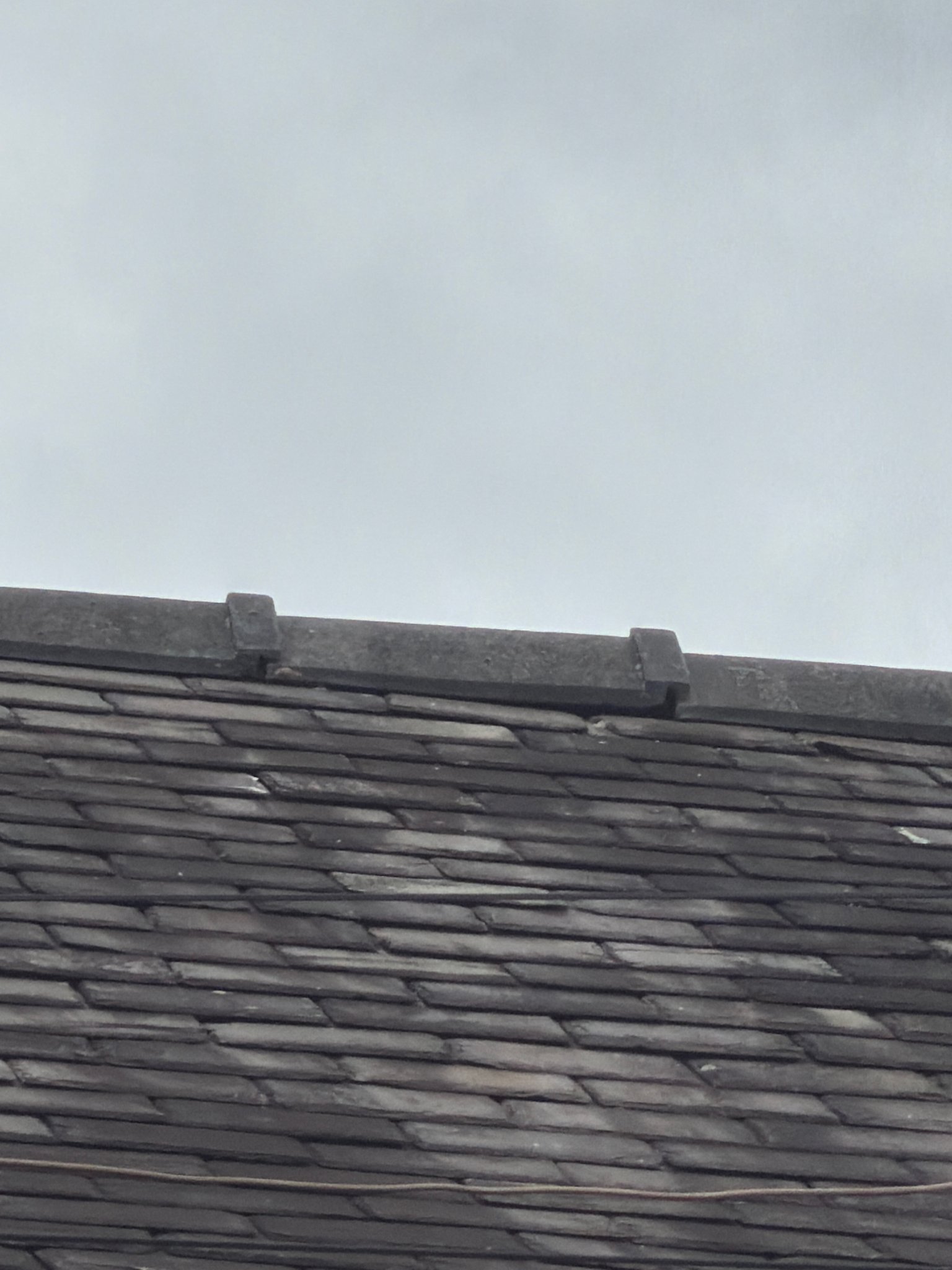 26794-Roofs-3.jpg
