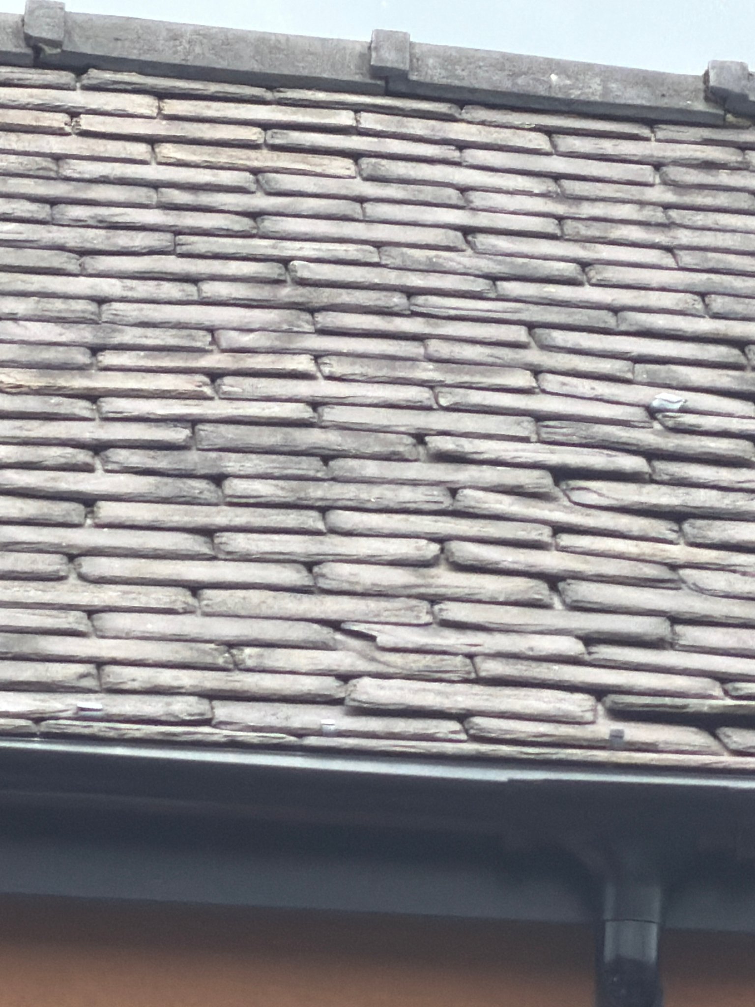 26794-Roofs-5.jpg