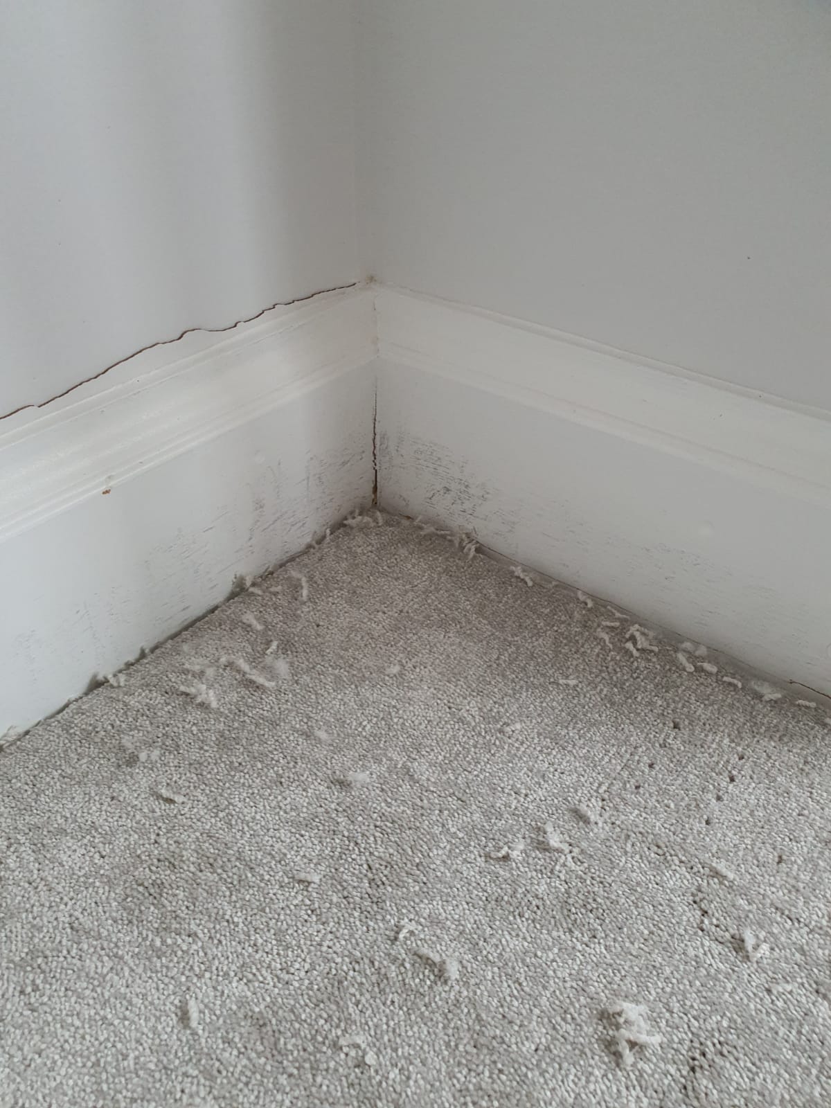 HELP, carpet fitter damage? DIYnot Forums