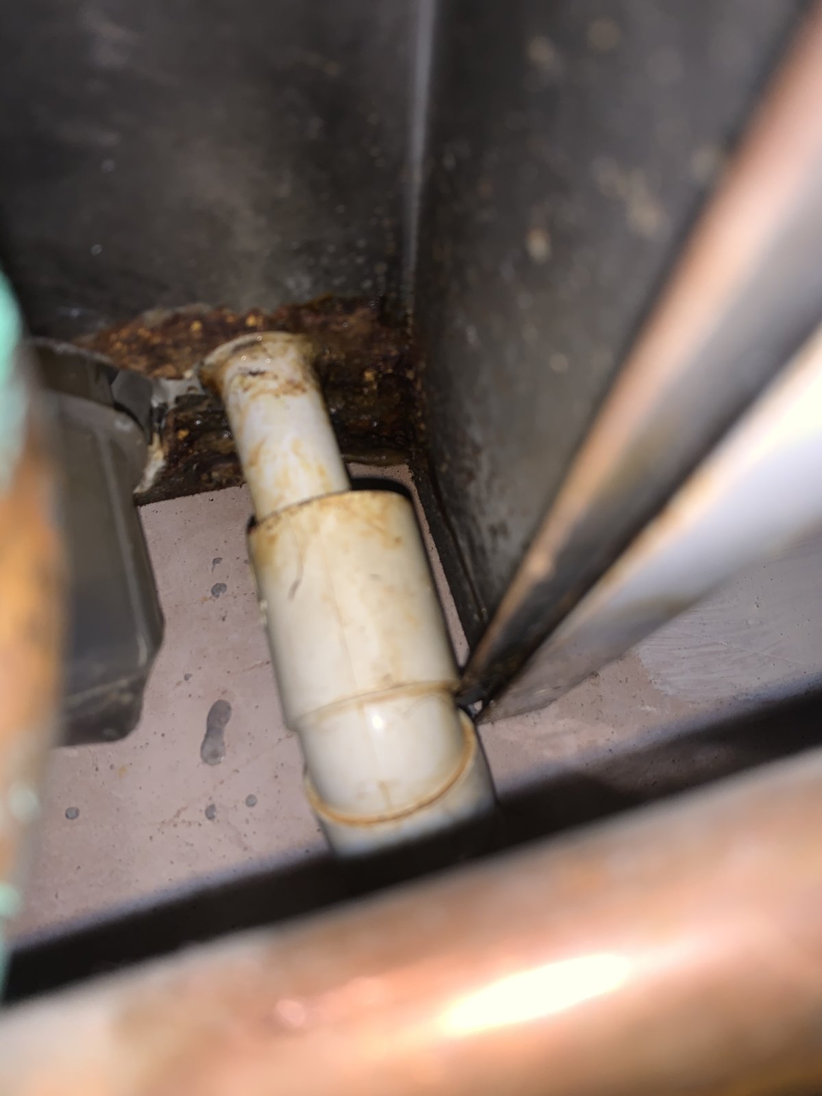 Vailant Ecotec pro28 leak around condensate trap/pipe DIYnot Forums