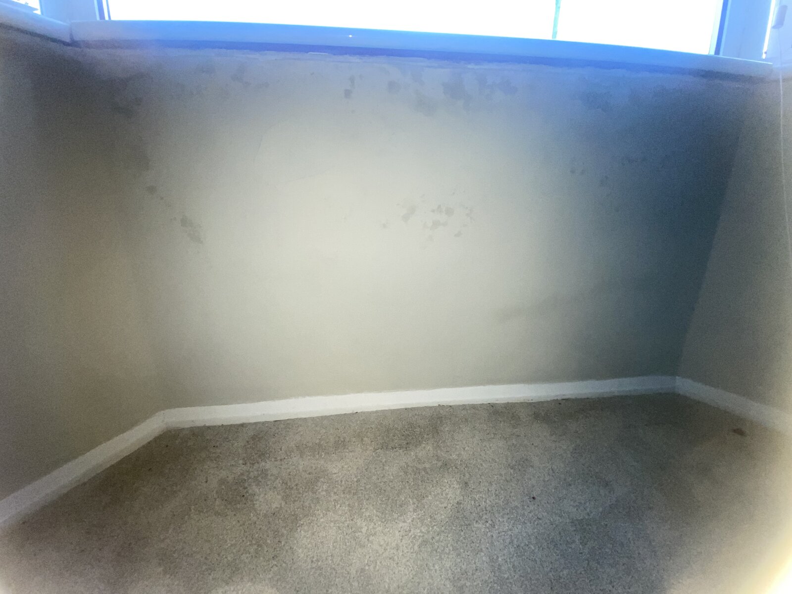 Damp under bay window. DIYnot Forums