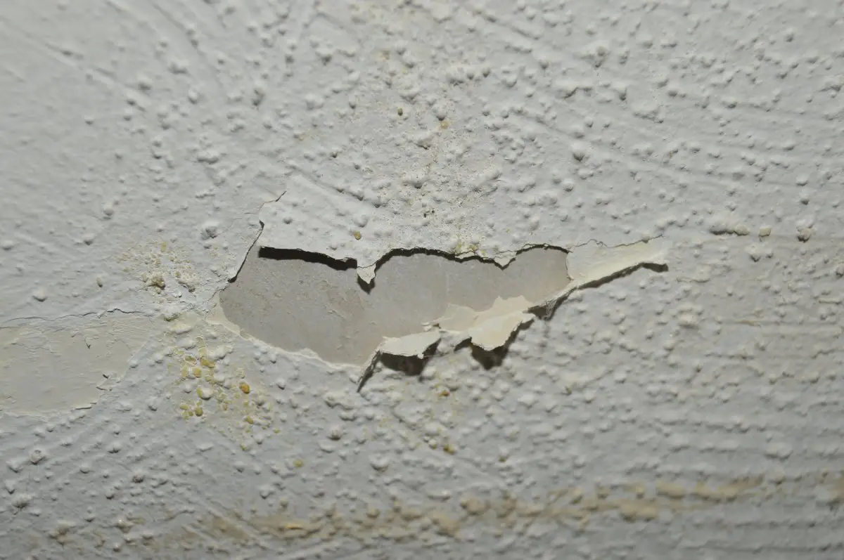 Textured Ceiling Best Way To Make It Smooth Diynot Forums