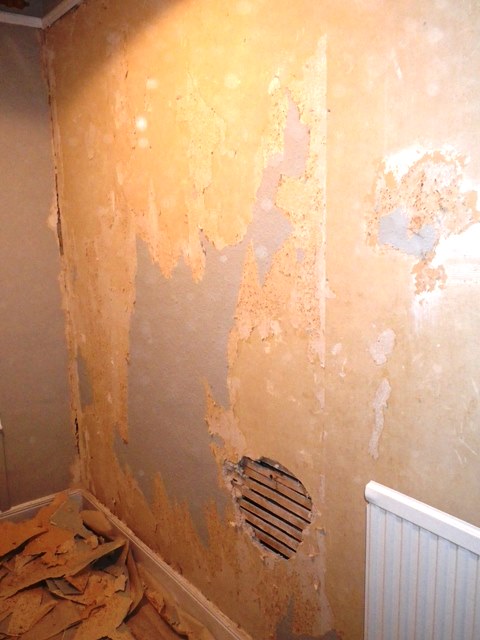 Lath And Plaster Repair DIYnot Forums