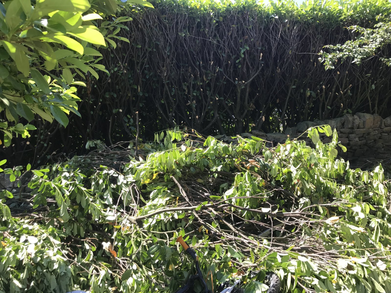 Cutting thick hedges DIYnot Forums