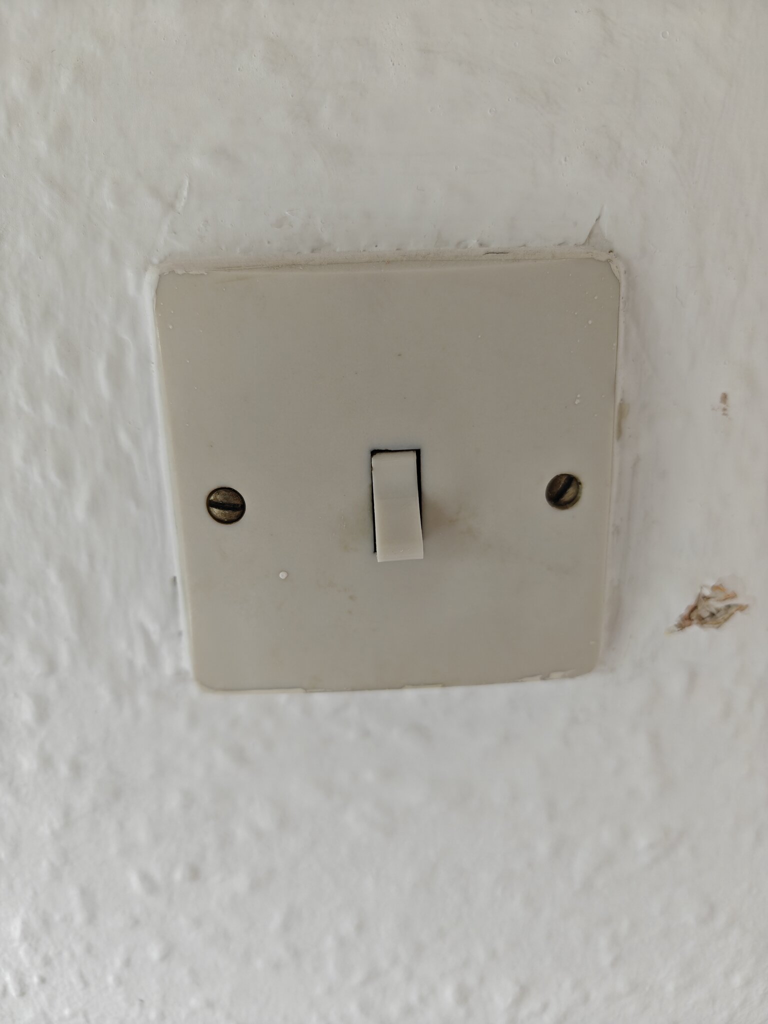9737.jpg