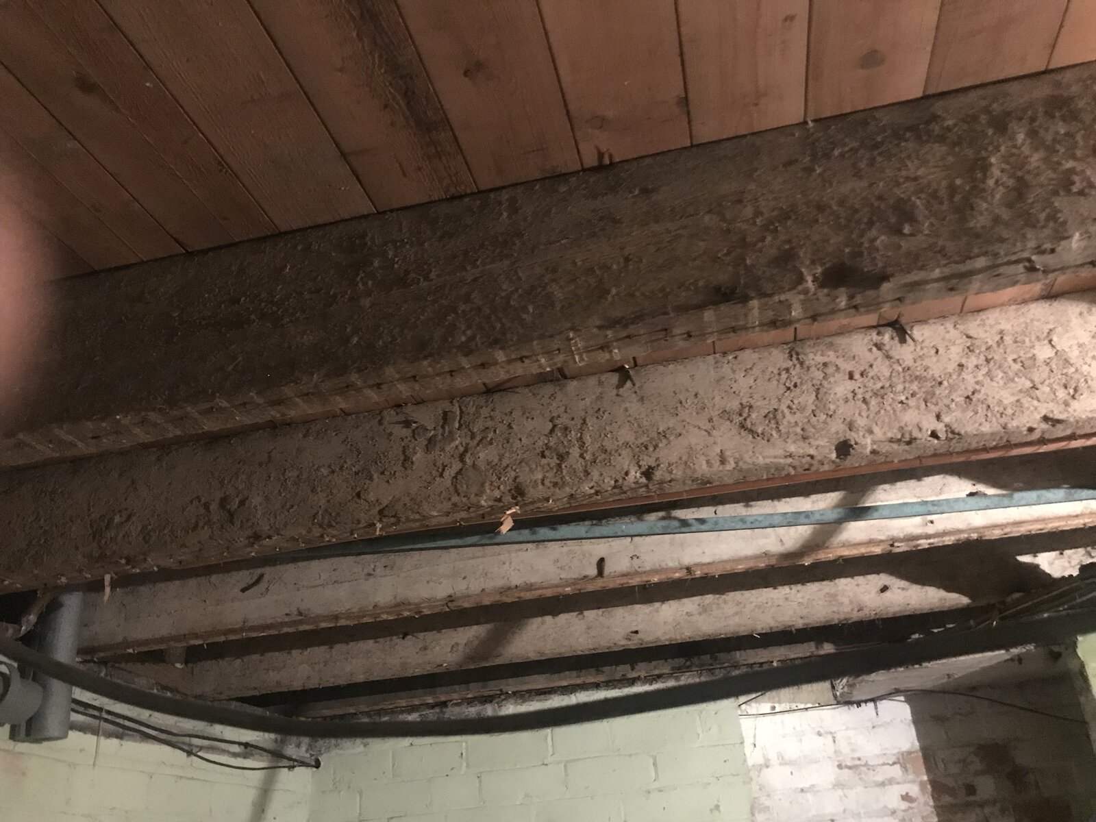How To Find Joists In Lath And Plaster Ceiling Shelly vrogue.co