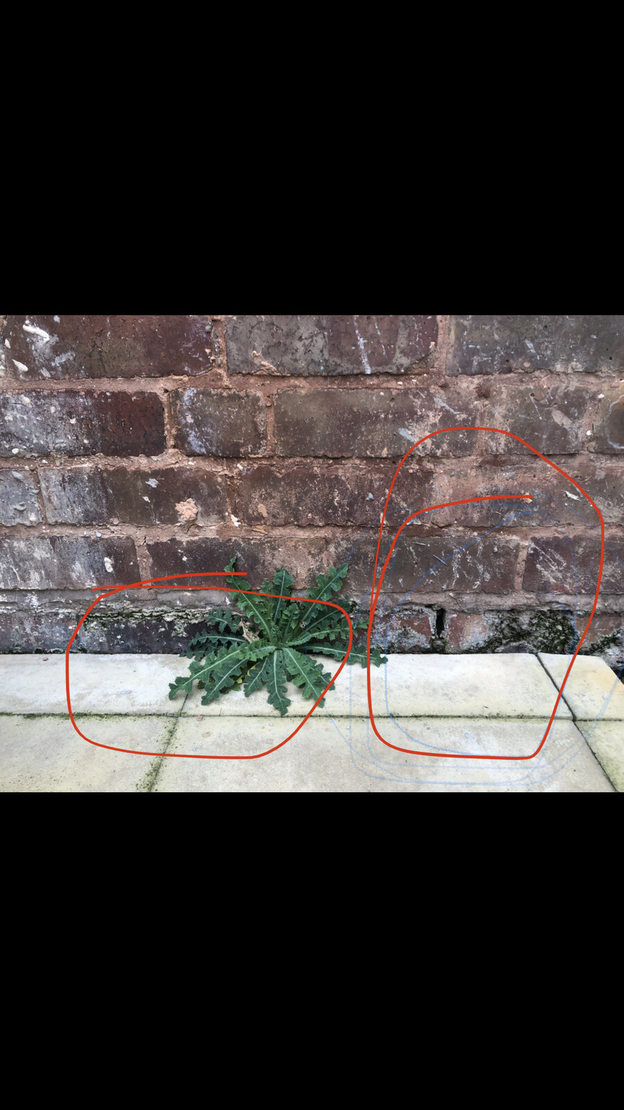 a5fb270e-5015-4819-9e6e-73c3d5096a63-jpeg.228189