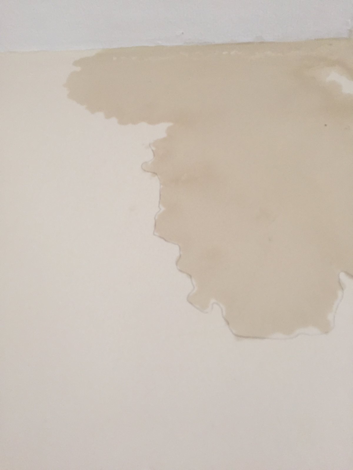 Re painting damp patch post gutter repair DIYnot Forums